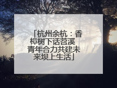 杭州余杭：香樟树下话苕溪 青年合力共建未来坝上生活