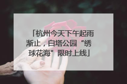 杭州今天下午起雨渐止，白塔公园“绣球花海”限时上线