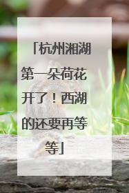 杭州湘湖第一朵荷花开了！西湖的还要再等等