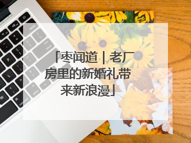 枣闻道｜老厂房里的新婚礼带来新浪漫