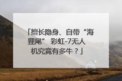 擅长隐身、自带“海狸尾” 彩虹-7无人机究竟有多牛？