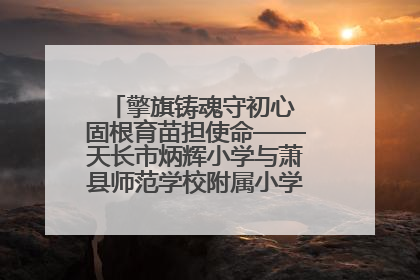 擎旗铸魂守初心 固根育苗担使命——天长市炳辉小学与萧县师范学校附属小学结对共建活动纪实