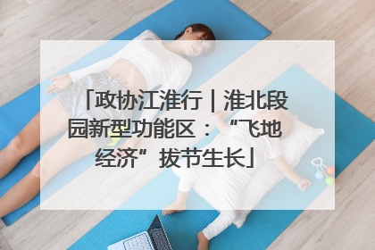 政协江淮行｜淮北段园新型功能区：“飞地经济”拔节生长