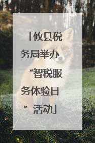 攸县税务局举办“智税服务体验日”活动