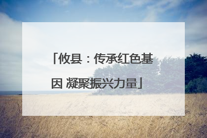 攸县：传承红色基因 凝聚振兴力量