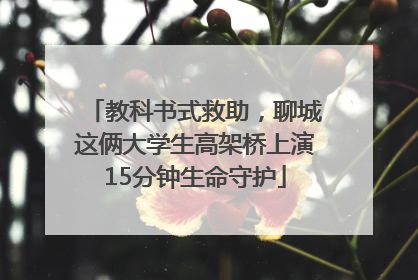 教科书式救助，聊城这俩大学生高架桥上演15分钟生命守护