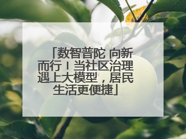 数智普陀 向新而行〡当社区治理遇上大模型，居民生活更便捷