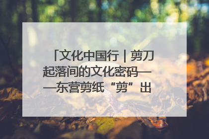 文化中国行｜剪刀起落间的文化密码——东营剪纸“剪”出非遗传承与现代生活的融合之道