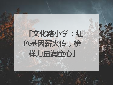 文化路小学：红色基因薪火传，榜样力量润童心