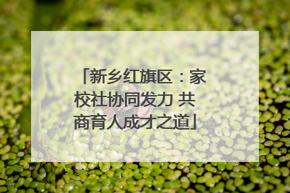 新乡红旗区：家校社协同发力 共商育人成才之道