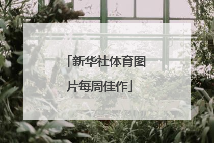 新华社体育图片每周佳作