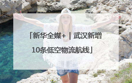 新华全媒+｜武汉新增10条低空物流航线