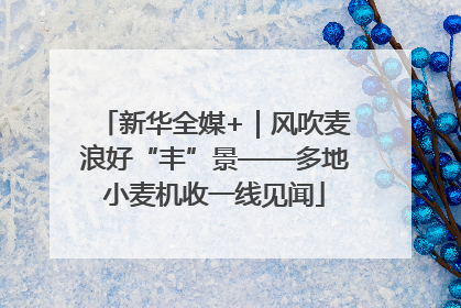 新华全媒+｜风吹麦浪好“丰”景——多地小麦机收一线见闻