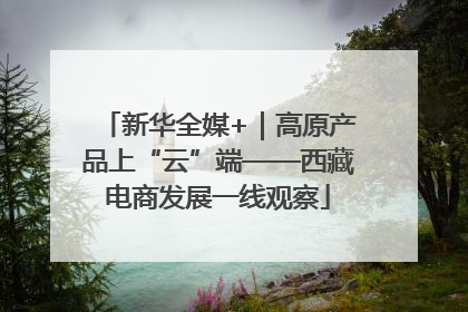 新华全媒+｜高原产品上“云”端——西藏电商发展一线观察