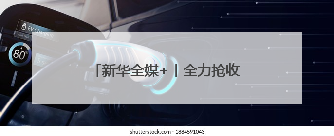 新华全媒+丨全力抢收夏粮 确保颗粒归仓
