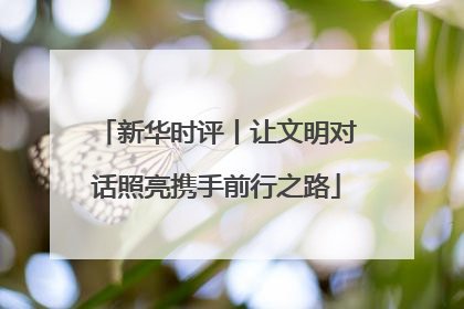 新华时评丨让文明对话照亮携手前行之路
