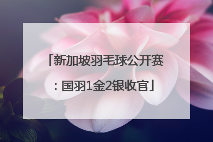 新加坡羽毛球公开赛：国羽1金2银收官