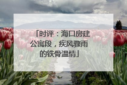 时评：海口房建公寓段，疾风骤雨的铁骨温情