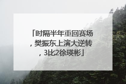 时隔半年重回赛场，樊振东上演大逆转，3比2徐瑛彬