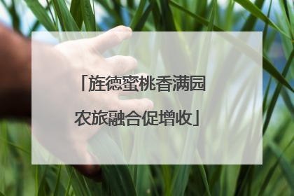 旌德蜜桃香满园 农旅融合促增收