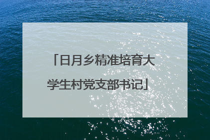 日月乡精准培育大学生村党支部书记