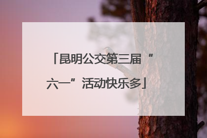 昆明公交第三届“六一”活动快乐多