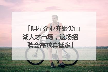 明星企业齐聚尖山湖人才市场，这场招聘会需求真挺多