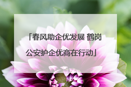 春风助企优发展 鹤岗公安护企优商在行动