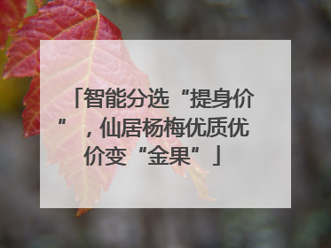 智能分选“提身价”，仙居杨梅优质优价变“金果”
