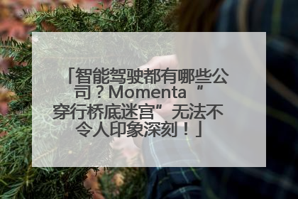 智能驾驶都有哪些公司？Momenta“穿行桥底迷宫”无法不令人印象深刻！