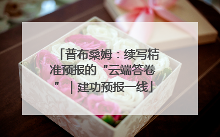普布桑姆：续写精准预报的“云端答卷”｜建功预报一线