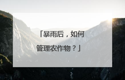 暴雨后，如何管理农作物？