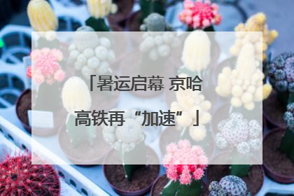 暑运启幕 京哈高铁再“加速”