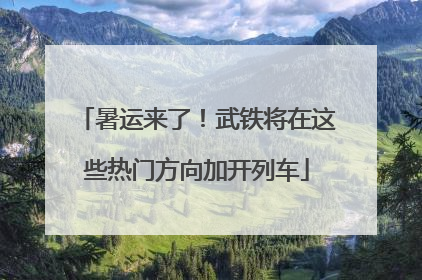 暑运来了！武铁将在这些热门方向加开列车