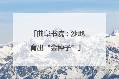 曲阜书院：沙地育出“金种子”