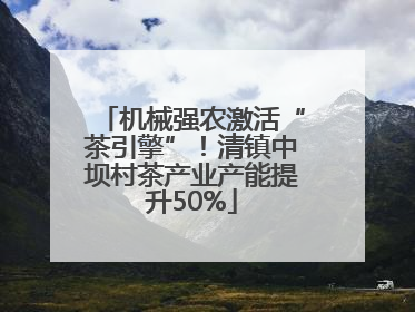 机械强农激活“茶引擎”！清镇中坝村茶产业产能提升50%