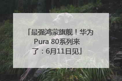 最强鸿蒙旗舰！华为Pura 80系列来了：6月11日见