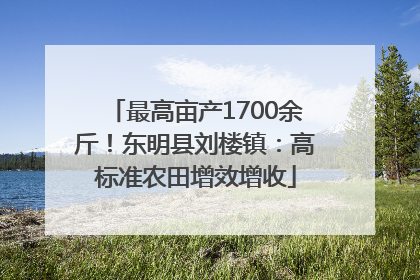 最高亩产1700余斤！东明县刘楼镇：高标准农田增效增收