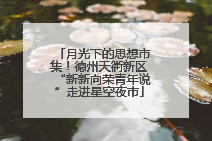 月光下的思想市集！德州天衢新区“新新向荣青年说”走进星空夜市