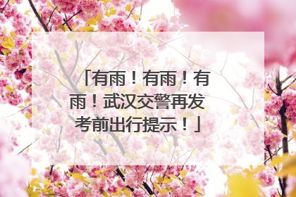 有雨！有雨！有雨！武汉交警再发考前出行提示！