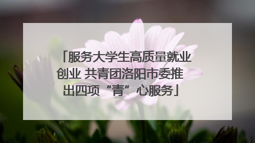 服务大学生高质量就业创业 共青团洛阳市委推出四项“青”心服务
