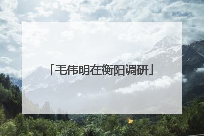 毛伟明在衡阳调研