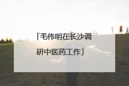 毛伟明在长沙调研中医药工作