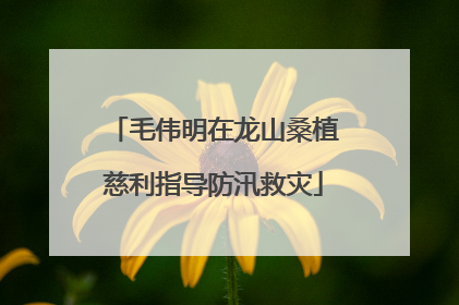 毛伟明在龙山桑植慈利指导防汛救灾