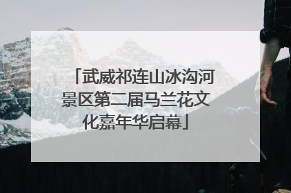 武威祁连山冰沟河景区第二届马兰花文化嘉年华启幕