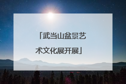 武当山盆景艺术文化展开展