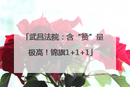 武昌法院：含“赞”量极高！锦旗1+1+1