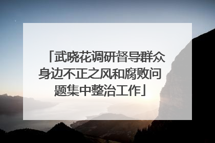 武晓花调研督导群众身边不正之风和腐败问题集中整治工作