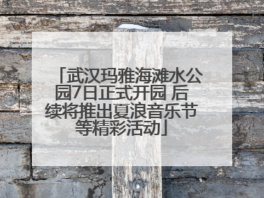 武汉玛雅海滩水公园7日正式开园 后续将推出夏浪音乐节等精彩活动