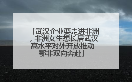 武汉企业要走进非洲，非洲女生想长居武汉 高水平对外开放推动鄂非双向奔赴